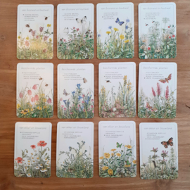 Wilde planten kwartet