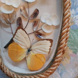 Vintage vlindertjes met schelpjes