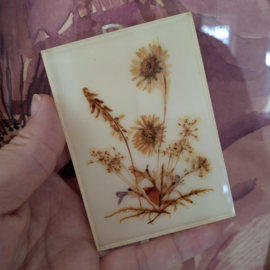 Droogbloemetjes in plexiglas