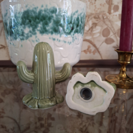 Peper- en zoutstel cactus