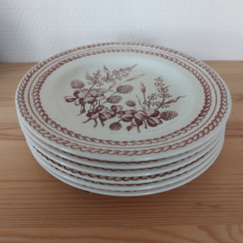 Gebaksbordjes set veldbloemen