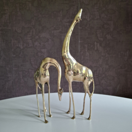 Giraffen set messing