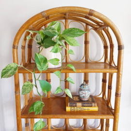 Rotan boekenrek