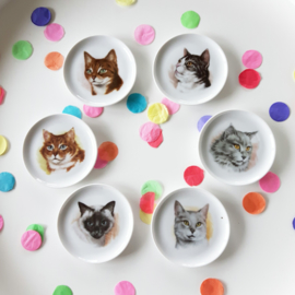 Petit fours bordjes kat