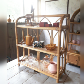 Rotan wandrek