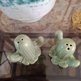 Peper- en zoutstel cactus