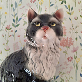 Beeld vintage kat
