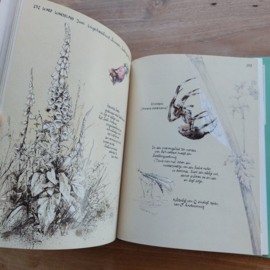 Natuurschetsboek Langs de zomen van de Zee