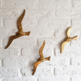 Muurvogels messing
