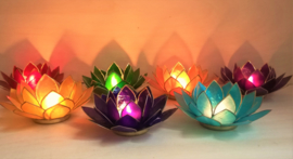 Lotus capiz sfeerlichten - set