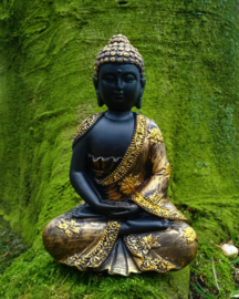 Bouddha histoire