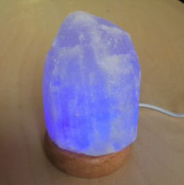 Mini lampe sel blanc USB + LED