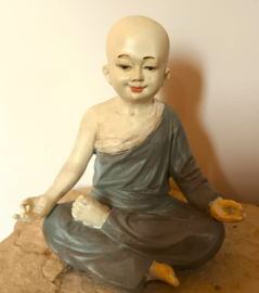 Monnikje in yoga houding