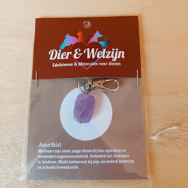 Pendentif Améthyste pour collier d'animaux