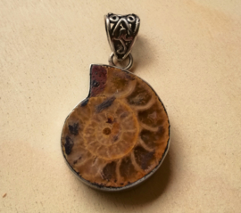 Pendentif fossile d'ammonite en argent