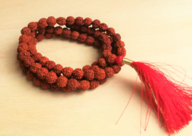 Chaîne de prière Mala 'Rudraksha'