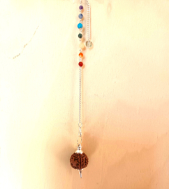 Pendel Rudraksha