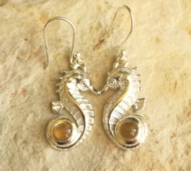 Boucles d'oreilles Hippocampus