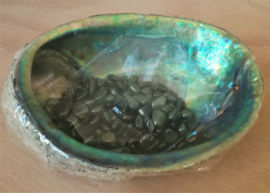 Abalone ontlaadschelp