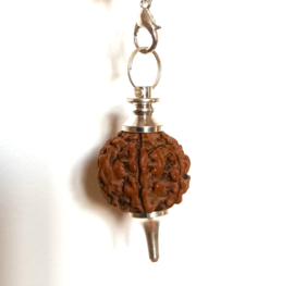 Rudraksha Pendulum