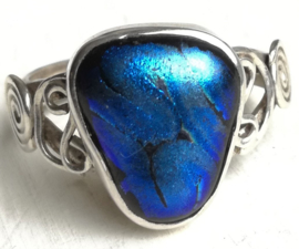 Ring Dichroic Glas Blauw