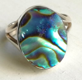 Abalone Schelp ring