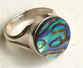 Ring Abalone schelp