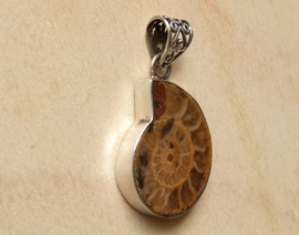 Pendentif fossile d'ammonite en argent