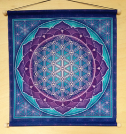 Meditatie banner Bloem des Levens