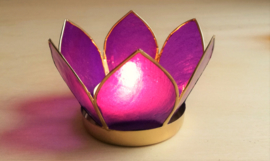 Chakra Lotus lichtje  violet