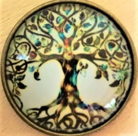 Betekenis Tree of  Life