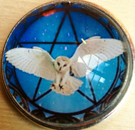 Pendentif 'Chouette en pentagramme'