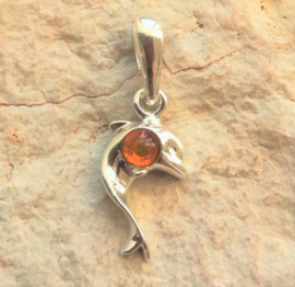 Amber (Barnsteen) sieraden