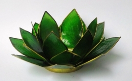 Theelicht Lotus Capiz groen