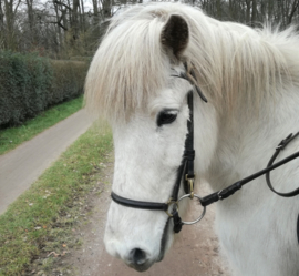 Paard als krachtdier