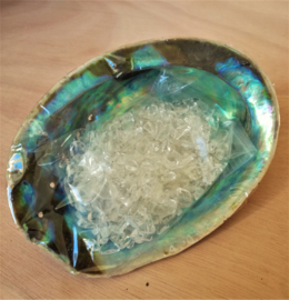 Abalone oplaadschelp