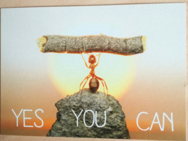 Carte postale "Yes you can"
