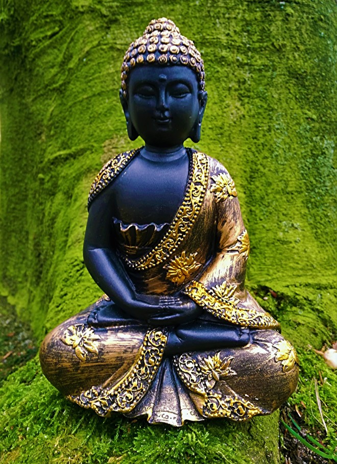 voor de helft enkel en alleen Maladroit Het verhaal van Boeddha | à la Tara