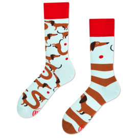 Teckel sokken – Sausage Dog