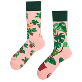 Plantensokken – Plant Lovers