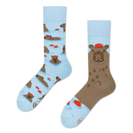 Capibara sokken – Capybara