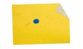 Cadeaupapier banaan (10 vel)