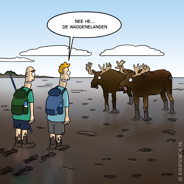 Waddeneilanden