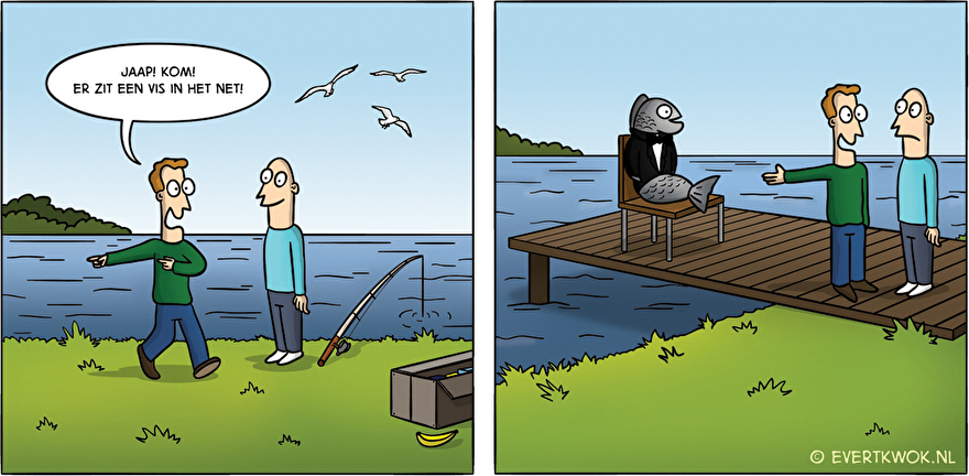 Vis in het net