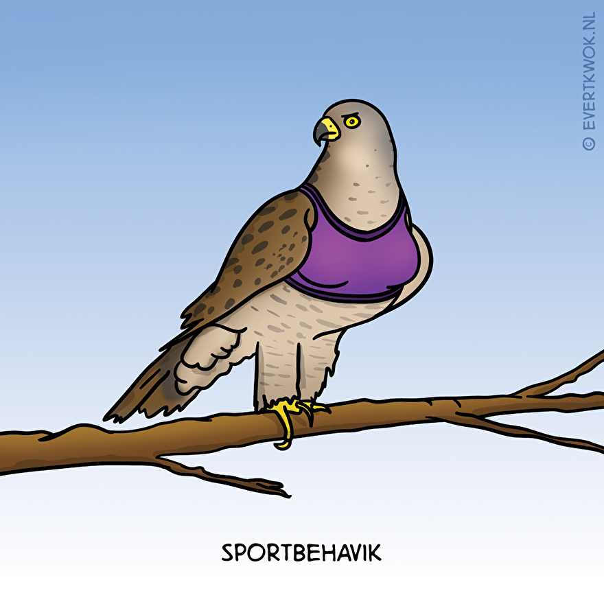 SportBehavik