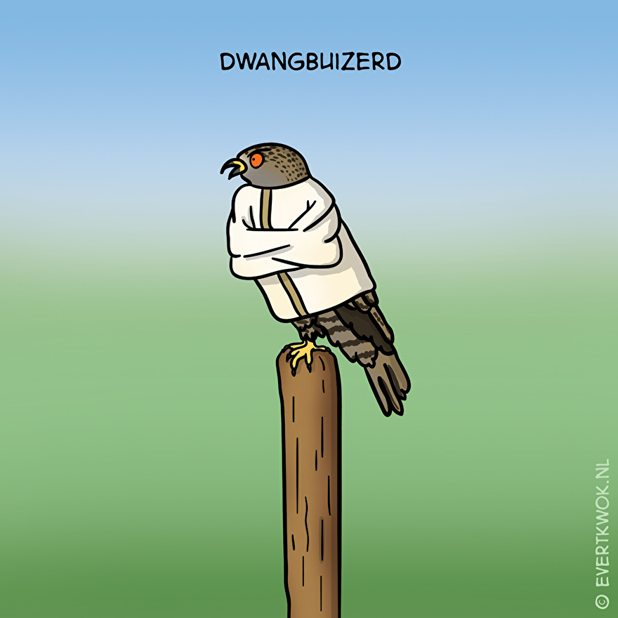 Evert Kwok - Dwangbuizerd