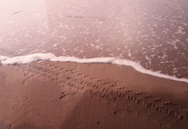 Ansichtkaarten gedichten in het zand