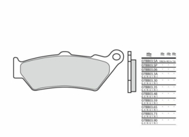 Remblokken BMW  F800 GS |  ENDURO Brembo 07BB0359