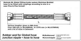 RVS Remleiding Motolab System