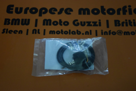 Daytona Sensor Asura / Velona BMW